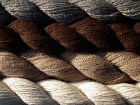 Как выглядит Alpaca