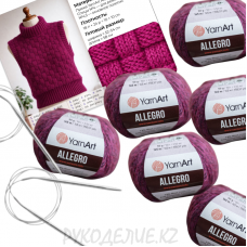 Набор д/вяз Жилет с узором Плетенка (Allegro) Набор д/вяз Жилет с узором Плетенка (Allegro)