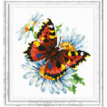 Набор для вышивания крестом Бабочка и ромашки 17*18см Чудесная игла Цветной