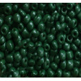 Бисер крупный N6 276 - Тёмно-зелёный